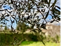 Photo numero 47470022 du bien UBI474156266